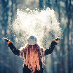 6 Holiday Sales Tips and 5 Social Media Growth Tips