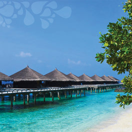 Fancy an escape?